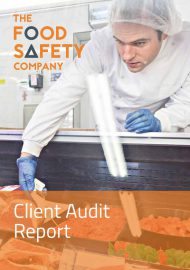 Client Audit Report