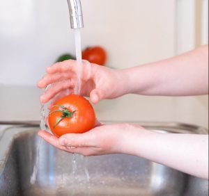 food safety in-house training