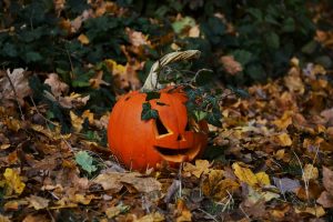Pumpkin