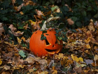 From Carving to Cooking: A Safe Pumpkin Preparation Guide